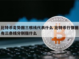 产出的比特币有什么用(产出的比特币有什么用处)