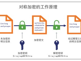 质数有什么非对称加密(质数和非质数是什么意思)