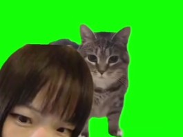cilimao磁力猫在线(cilimao磁力猫在线搜在哪里)