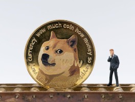 狗狗币HTX币网(狗狗币coinbase)