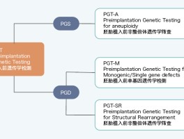 pgs是什么意思(pgs是什么意思的缩写)