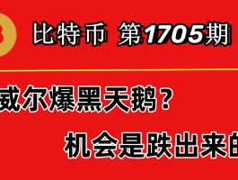 比特币用红色表示什么(比特币用红色表示什么符号)