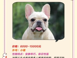 狗狗价格表(狗狗快递托运价格表)