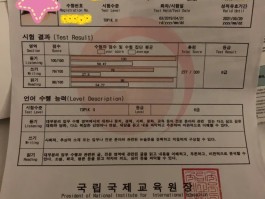 topik成绩查询(TOPIK成绩查询入口)