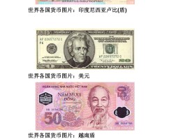 各国货币图片(各国货币图片大全大图 头像)