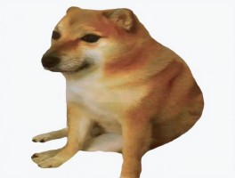 doge狗还活着吗(是不是只要狗狗还活着人就不会发病)