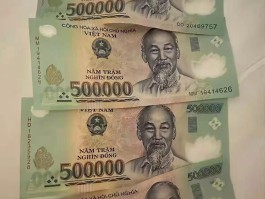 越南币1000块值人民币多少钱(越南币1000块钱等于人民币多少钱)