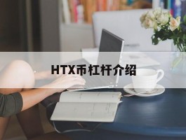 包含HTX币杠杆介绍的词条