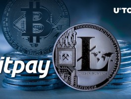 莱特币ltc挖矿下载app(莱特币挖矿软件celletf平台用心)