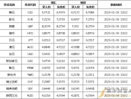 全球货币汇率大全(全球主要货币汇率走势分析)