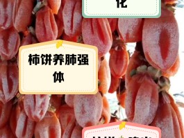 柿饼的功效与作用及副作用禁忌(柿饼的功效与作用禁忌和食用方法)