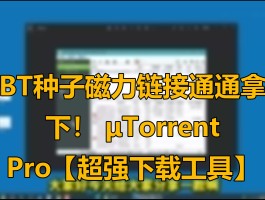 关于磁力猫bt种子磁力搜索器的信息
