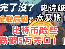 比特币史诗级暴跌(比特币跌破48000)