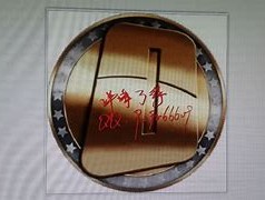 维卡币价格表(维卡币价格表1欧)