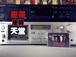 bt磁力搜索天堂在线的简单介绍