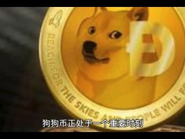 狗狗币矿池搭建(狗狗币矿机每天收益)