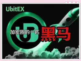 币赢交易所是哪个国家的(币赢交易所app官网下载最新版)