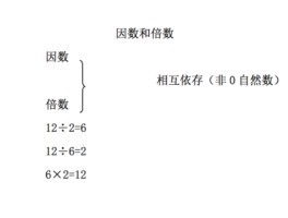 什么叫因数(小学三年级什么叫因数)