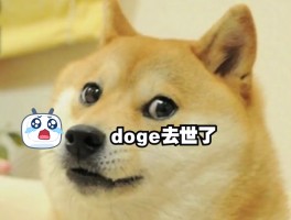 doge头像(dog toy)