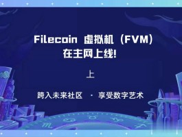 filecoin骗局(filecoin的骗局最新消息)