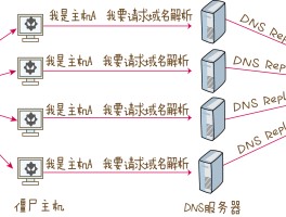 DNs币是什么(dns术语是什么)