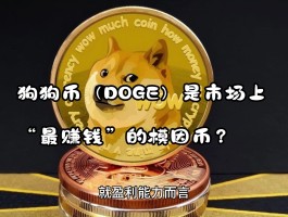 狗狗币是什么(狗狗币是什么链上的)