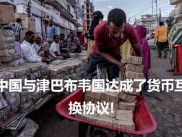 津巴布韦汇率人民币换算(津巴布韦汇率人民币换算器)