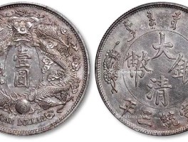 大清龙币银元价格表及图片(大清龙币银元大系40枚真假)