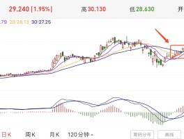 包含陀螺币交易平台的词条