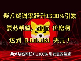 shib币最高价格(shib币最高价格涨到多少)