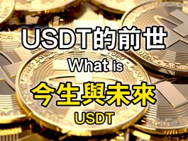 usdc是什么币(usdcoin是什么货币)