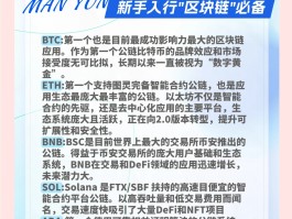 全球公认的五大公链(中国唯一认可的虚拟币)