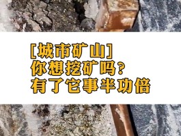 挖矿需要什么公司(挖矿挣钱需要投资吗)