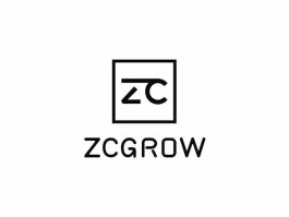 zcash中文叫什么(zac什么意思中文意思)