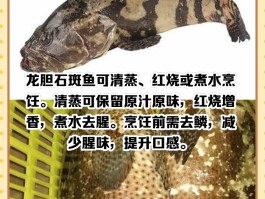 龙胆石斑鱼的做法(食材_龙胆石斑鱼怎么做好吃窍门)