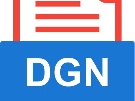 dgn(dgn文件)