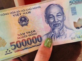 关于terracoin是什么币的信息
