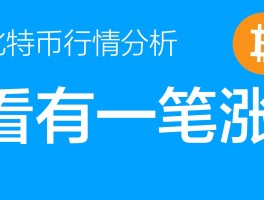 比特币为什么不建议做(比特币为什么不适合做货币)