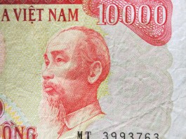 越南盾图片(1万越南盾图片)