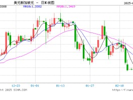 sgd是什么货币汇率(sgd是什么货币汇率人民币)