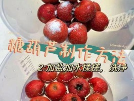 都说冰糖葫芦儿酸歌曲原唱(都说冰糖葫芦儿酸是什么歌曲)