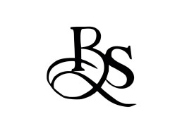 bsx(bsx是什么牌子)