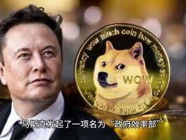 dogeHTX币行情(dogemoon币行情)