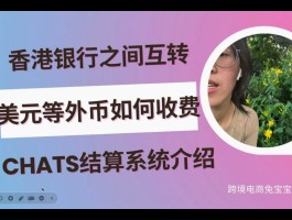 美元结汇什么时候合适(美元结汇什么时间段汇率最高)