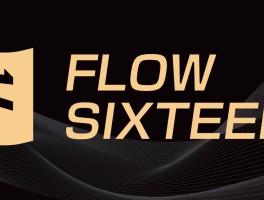 flow币是什么概念(flow币有投资价值吗)