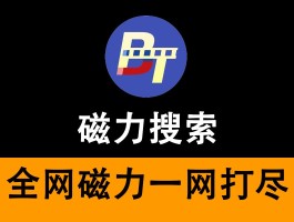 bt磁力搜索引擎哪个好(bt磁力搜索引擎哪个好用)
