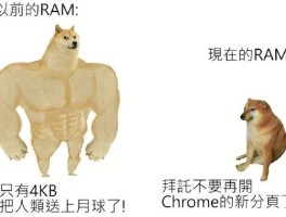 doge是什么意思梗(你知道dog是什么意思)