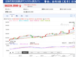 比特币币今日最新价格(比特币币今日价格行情走势)