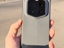 rsr(人生若只如初见什么意思)