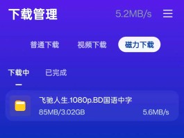 磁力下载器(好用的手机bt下载器)